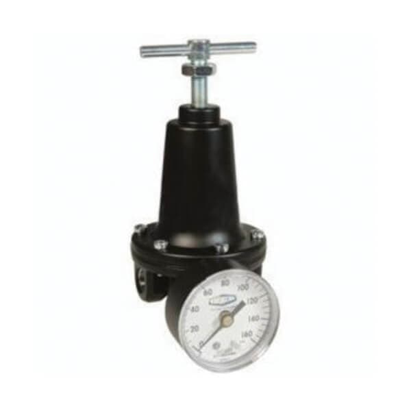 Watts by Dixon® R119- Relieving Standard Regulator (2)